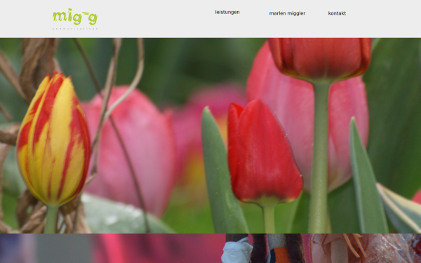 www.migg.de