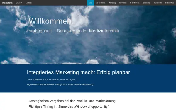 amt-consult.de