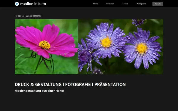 www.medien-in-form.de