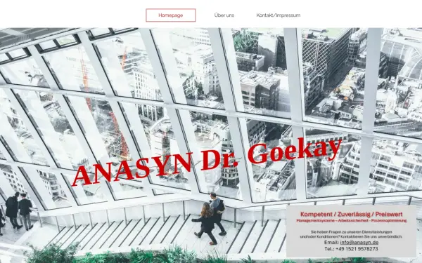 anasyn.de
