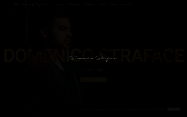domenico-straface.de