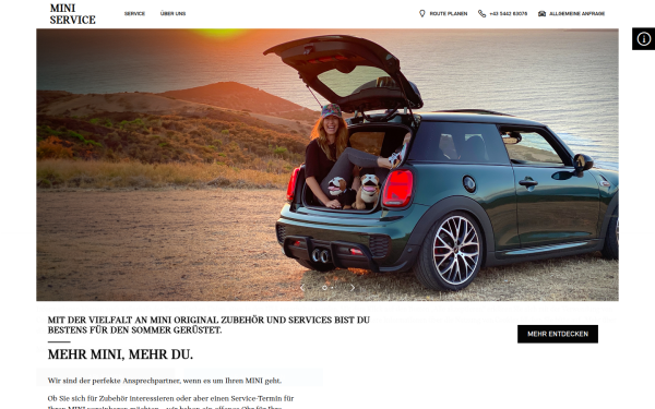 mini-service-netzer-landeck.at