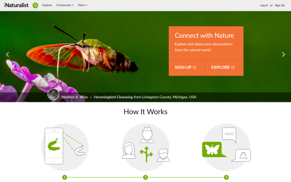 www.inaturalist.org