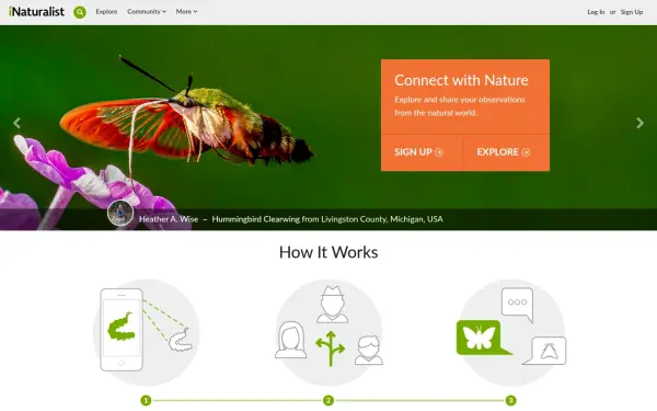 www.inaturalist.org