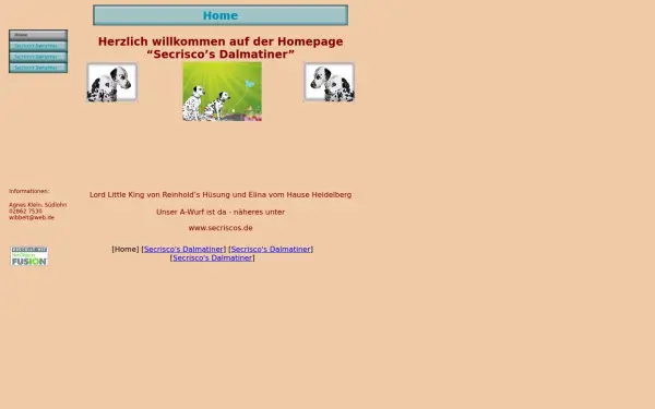 dalmatiner-aus-dem-muensterland.de