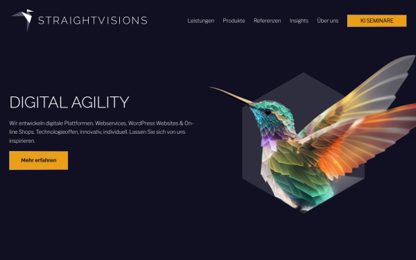 straightvisions.com
