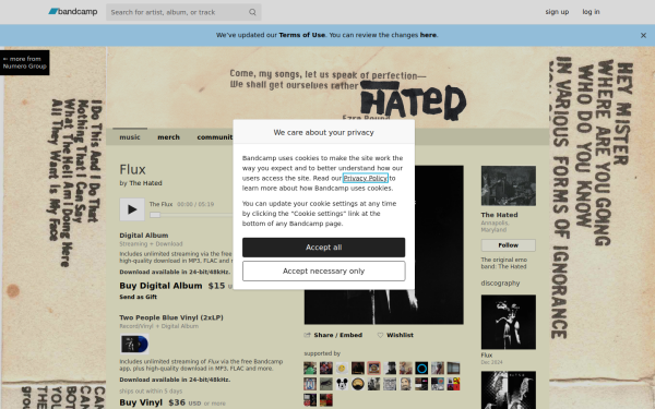 hated-numero.bandcamp.com