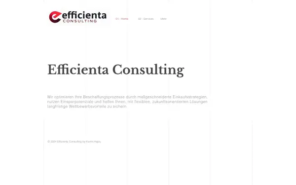 www.efficienta-consulting.de