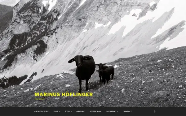 marinushoeflinger.com