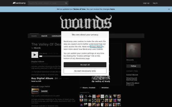woundsbm.bandcamp.com