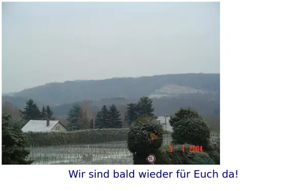 gutschalk.de