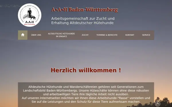 aah-bw.de
