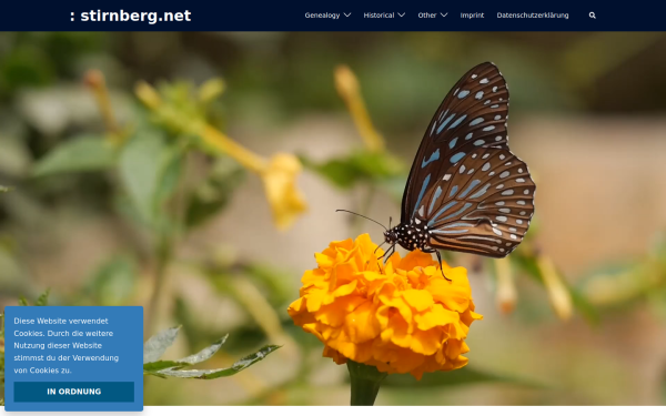 stirnberg.net