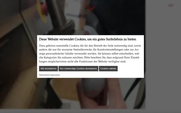 www.massschuhmacherei.de
