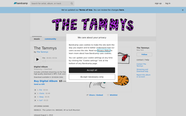 wearethetammys.bandcamp.com