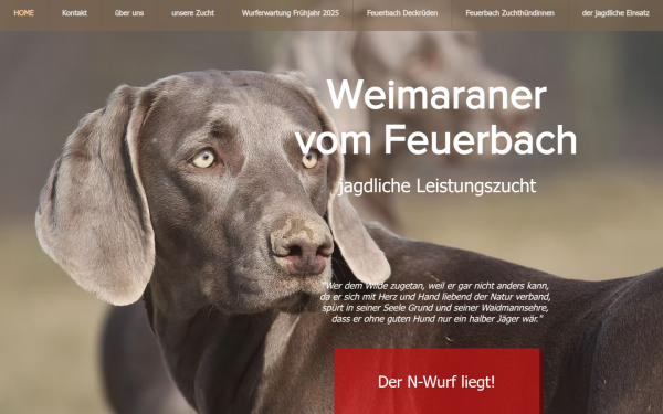 www.weimaraner-vom-feuerbach.com