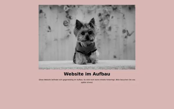 meinyorki.de