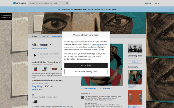 vanishingtwinmusic.bandcamp.com