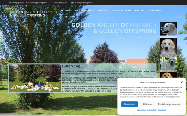 www.goldenangels.de