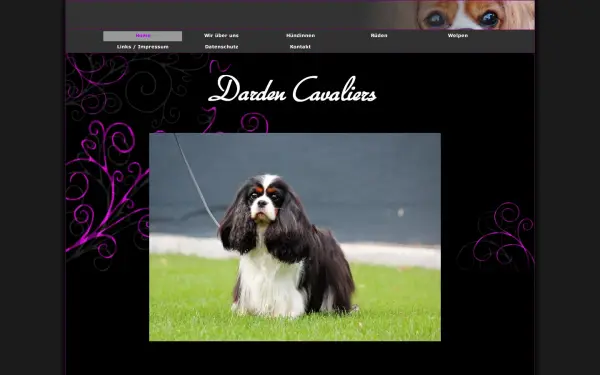darden-cavaliers.de