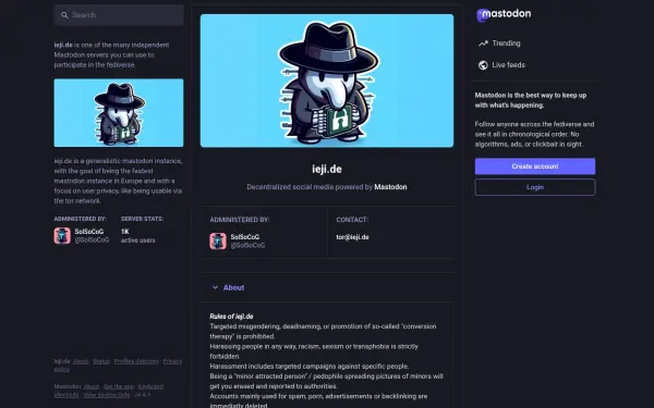 ieji.de