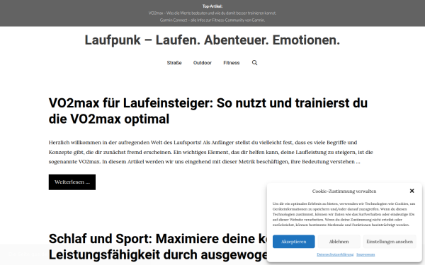 laufpunk.de
