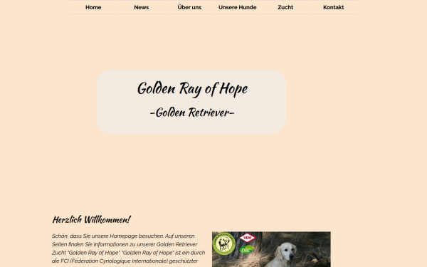 golden-ray-of-hope.de