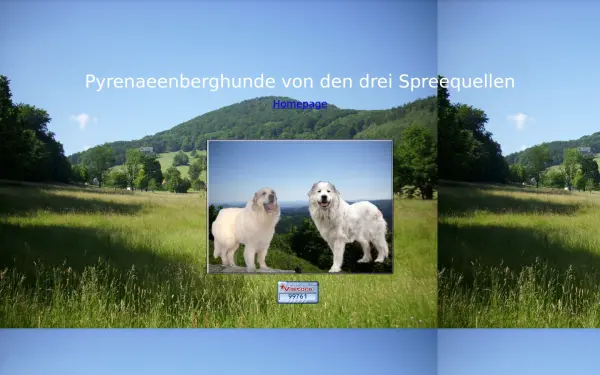 pyrenaeenberghund-walddorf.de