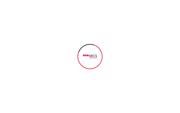 mcs-team.de