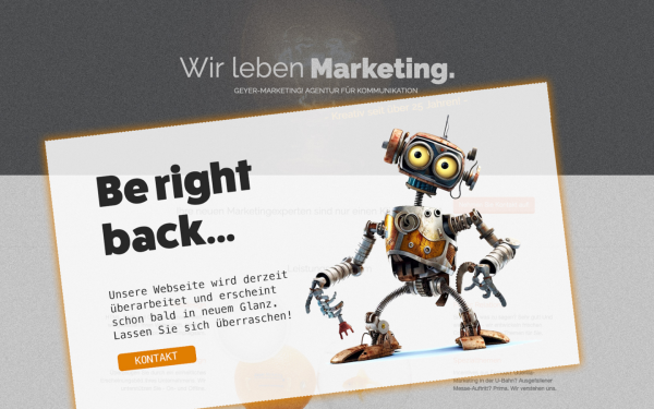 geyer-marketing.de