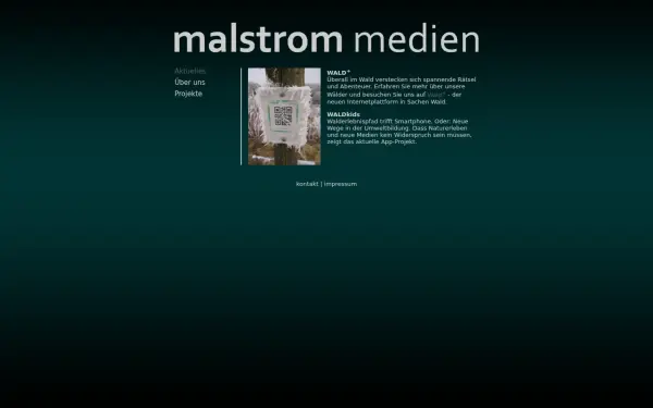 malstrom-medien.de