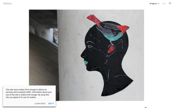 www.wildium.art