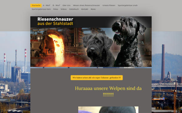 www.riesenschnauzerausderstahlstadt.at