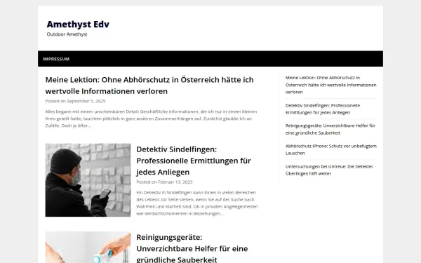 amethyst-edv.de