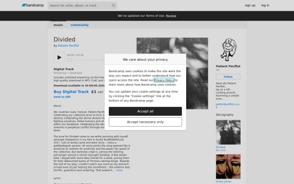 patientpacifist.bandcamp.com