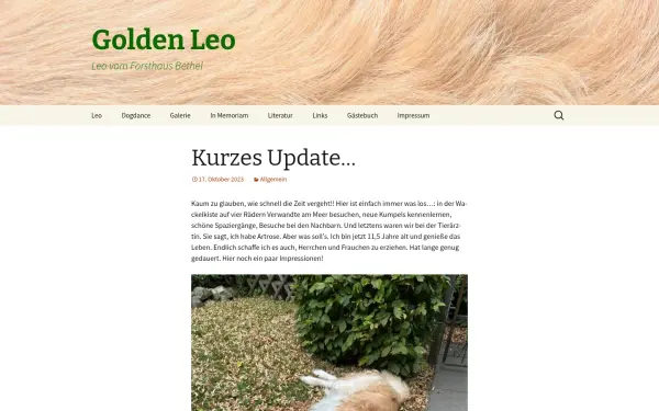 golden-leo.de
