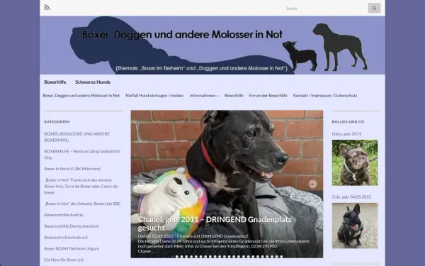 www.boxer-im-tierheim.de