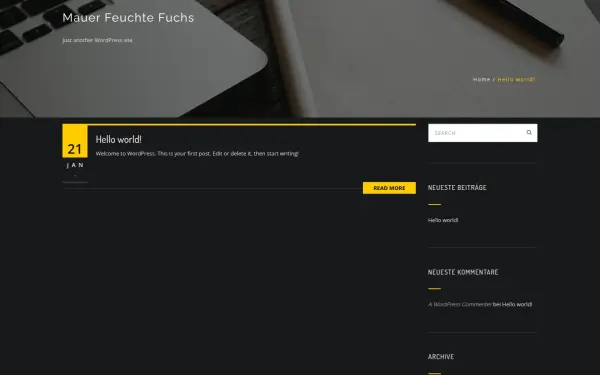 mauerfeuchtefuchs.de