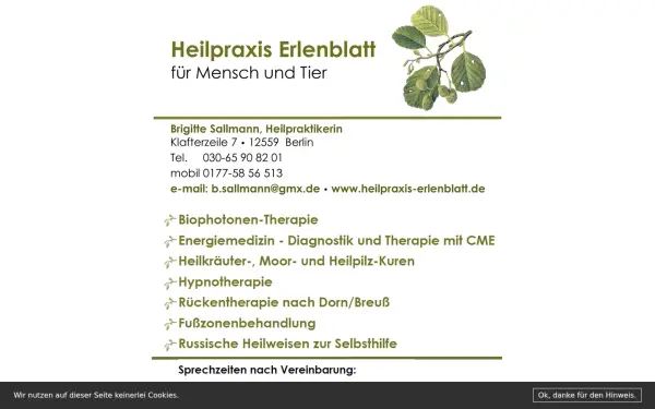 heilpraxis-erlenblatt.de