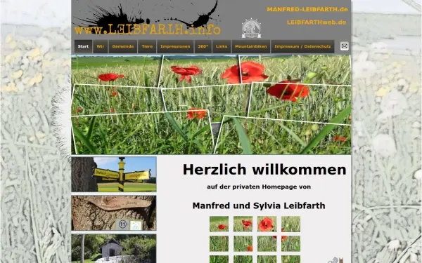 manfred-leibfarth.de