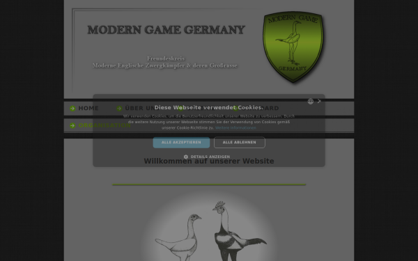 www.modern-game.de