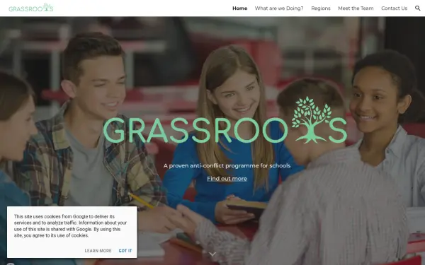 grassroots.bi.team
