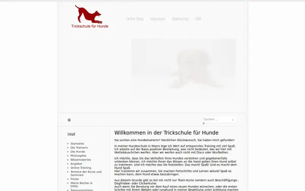 trickschule.de