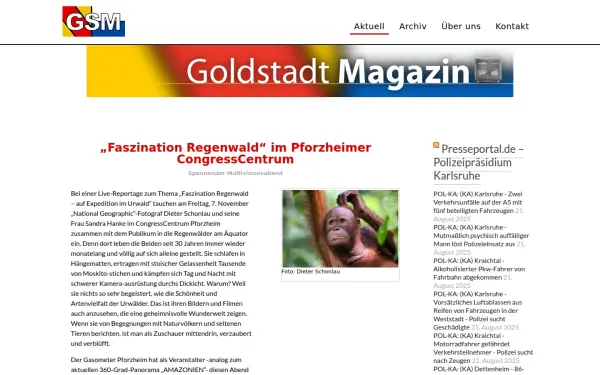 goldstadt-magazin.de