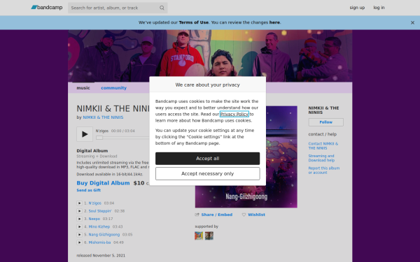 nimkiiandtheniniis.bandcamp.com