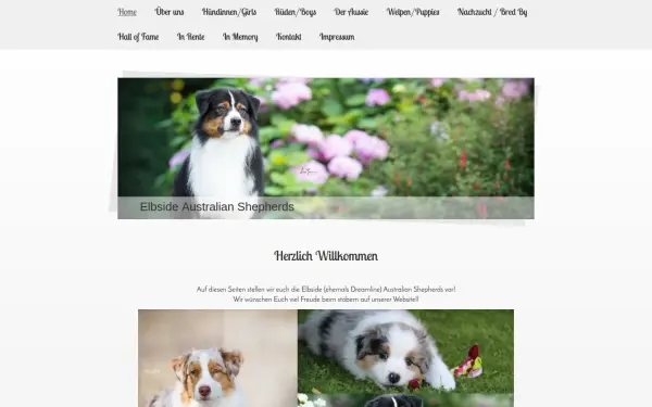 www.elbside-aussies.de