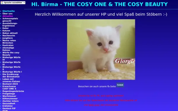 heiligebirma-thecosyone.de
