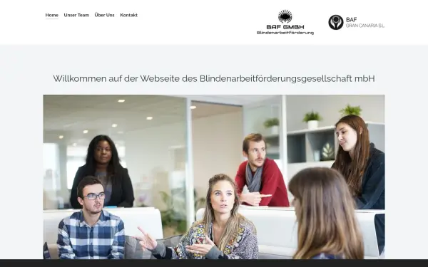 bafgmbh.de