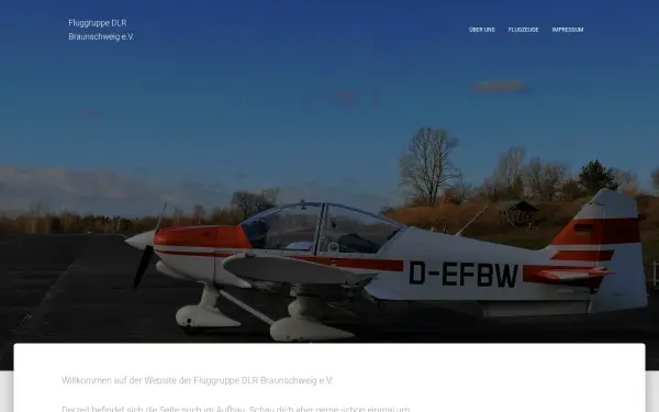 fluggruppe-dlr.de