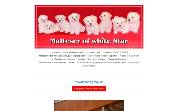 www.malteser-of-white-star.de